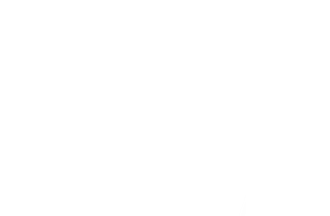 FinElevate Logo in white color